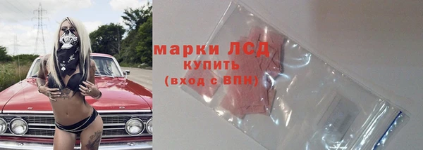 дживик Беломорск