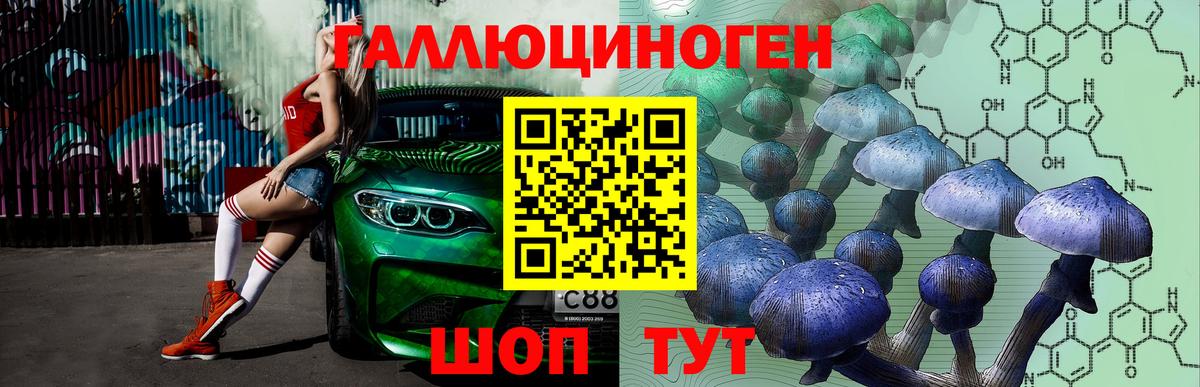 Пыть-Ях  Псилоцибиновые грибы GOLDEN TEACHER  Вход с VPN 