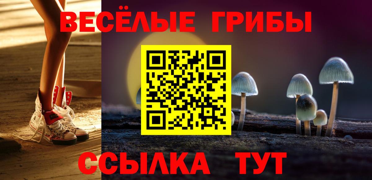Псилоцибиновые грибы GOLDEN TEACHER Пыть-Ях