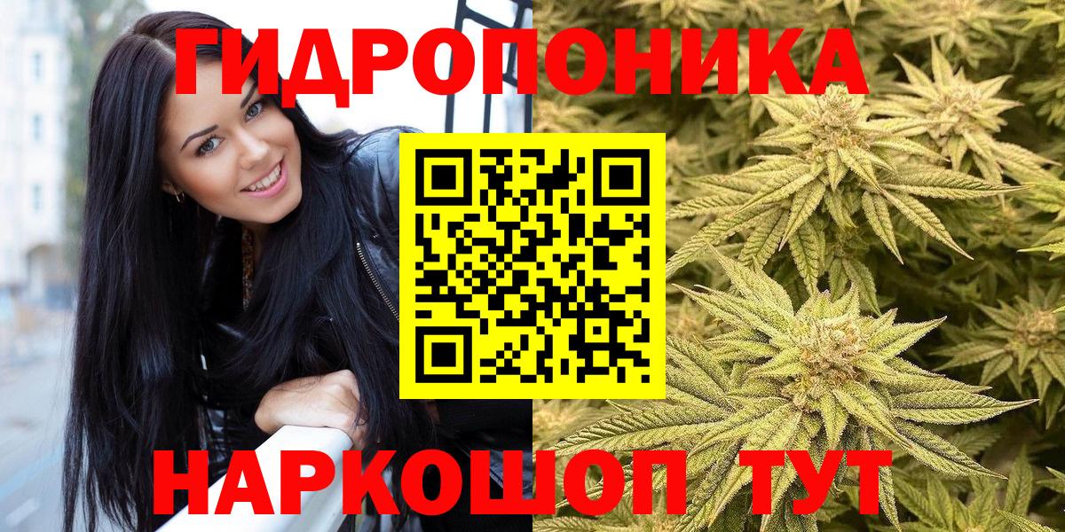 Шишки марихуана марихуана Пыть-Ях